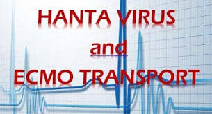 Febris haemorrhagia Hantaviruso - Hình ảnh minh họa